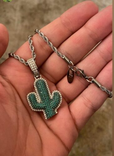 תליון קקטוס כסף photo review