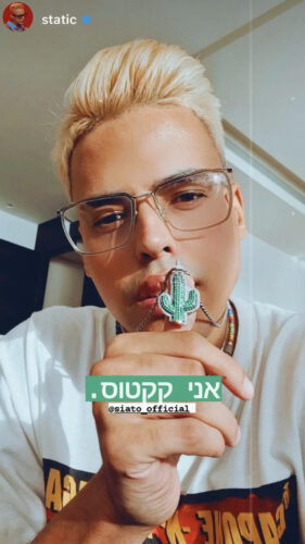 תליון קקטוס כסף photo review