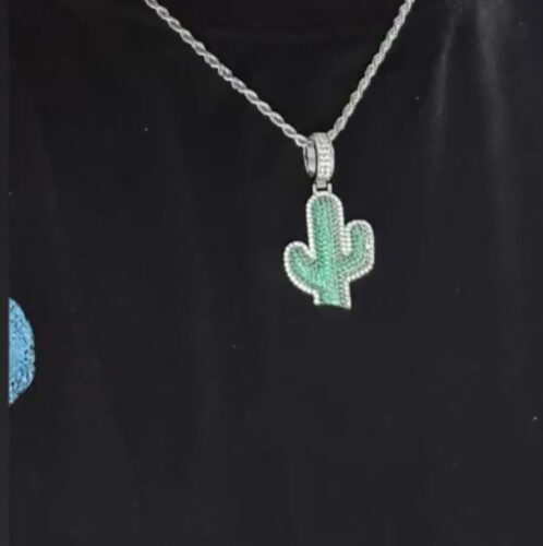 תליון קקטוס כסף photo review