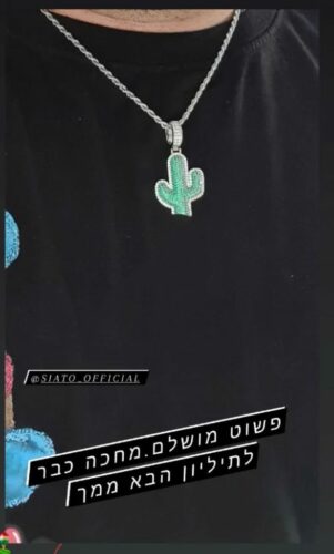 תליון קקטוס כסף photo review