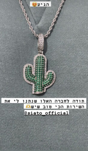 תליון קקטוס כסף photo review