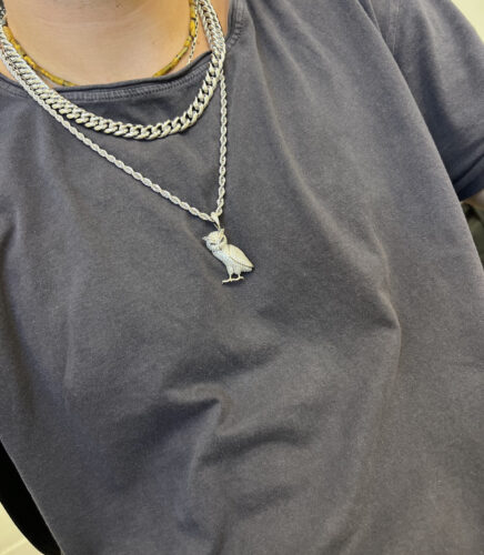 תליון אייס ינשוף photo review